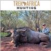 Image 2 : South African Blue, Black, and Golden Wildebeest Safari for Two