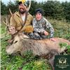 Image 1 : Scotland Red Stag and Roe Deer Hunt