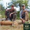 Image 2 : Scotland Red Stag and Roe Deer Hunt