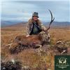 Image 3 : Scotland Red Stag and Roe Deer Hunt