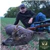 Image 4 : Scotland Red Stag and Roe Deer Hunt