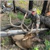 Image 1 : Oregon 6-Day Archery Rocky Mountain Elk Hunt for 2 hunters