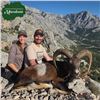 Image 3 : Croatia Mouflon Sheep Hunt