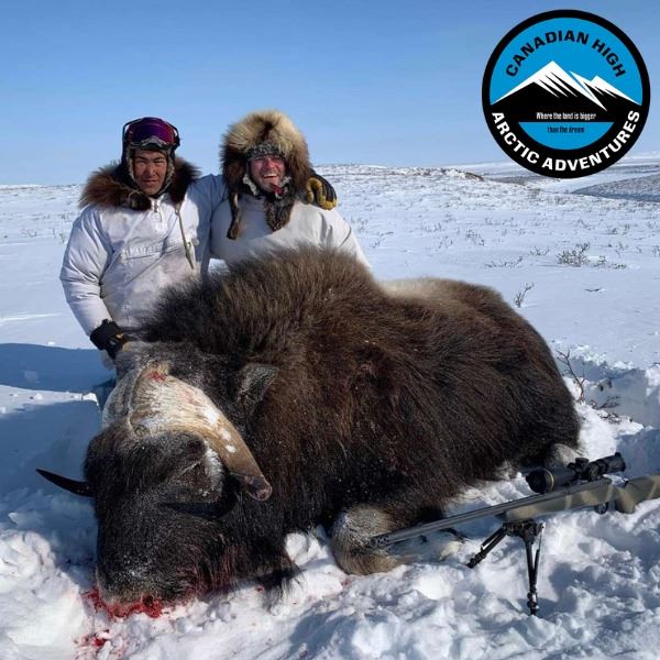 Five Day Muskox Hunt in the Northwest Territories
