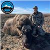 Image 2 : Five Day Muskox Hunt in the Northwest Territories