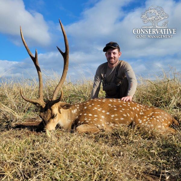Hawaii Axis Deer Hunt for Two