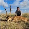 Image 1 : Hawaii Axis Deer Hunt for Two