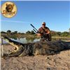 Image 2 : Crocodile Hunt for Two in Northern Limpopo South Africa