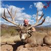 Image 1 : Mexico Five Day Monster Mule Deer Hunt
