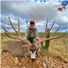 Image 2 : Mexico Five Day Monster Mule Deer Hunt