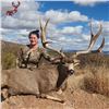 Image 4 : Mexico Five Day Monster Mule Deer Hunt