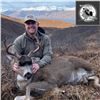 Image 1 : Kodiak Trophy Sea Duck, Sitka Black-Tailed Deer, and Fox Combo Hunt for Two