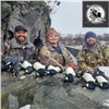 Image 3 : Kodiak Trophy Sea Duck, Sitka Black-Tailed Deer, and Fox Combo Hunt for Two