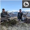 Image 5 : Kodiak Trophy Sea Duck, Sitka Black-Tailed Deer, and Fox Combo Hunt for Two