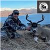 Image 6 : Kodiak Trophy Sea Duck, Sitka Black-Tailed Deer, and Fox Combo Hunt for Two
