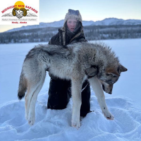 Seven Day Alaska Thermal Predator Hunt