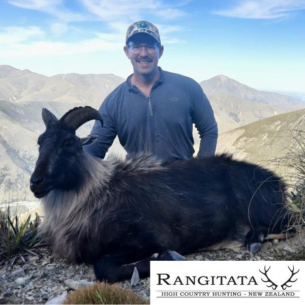 Himalayan Tahr Hunt in New Zealand