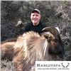 Image 2 : Himalayan Tahr Hunt in New Zealand
