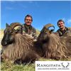 Image 5 : Himalayan Tahr Hunt in New Zealand
