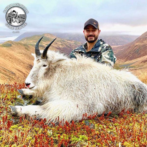 Guided Trophy Kodiak Mountain Goat Hunt