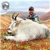 Image 1 : Guided Trophy Kodiak Mountain Goat Hunt