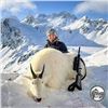 Image 2 : Guided Trophy Kodiak Mountain Goat Hunt