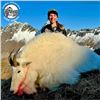 Image 3 : Guided Trophy Kodiak Mountain Goat Hunt