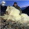 Image 4 : Guided Trophy Kodiak Mountain Goat Hunt