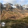 Image 5 : Guided Trophy Kodiak Mountain Goat Hunt