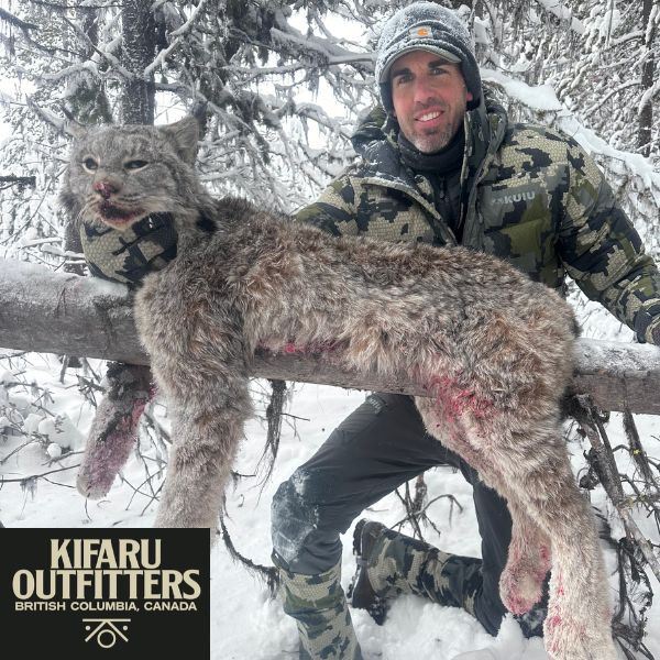 Six-Day Lynx Hunt in British Columbia