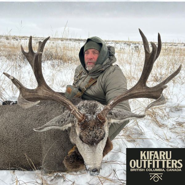 Four-Day Mule Deer Hunt in Alberta