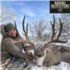 Image 3 : Four-Day Mule Deer Hunt in Alberta