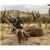 Image 1 : Spain - 1 Hunter for 4-Day/3-Night Combination Hunt with Trophy Credits