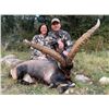 Image 4 : Spain - 1 Hunter for 4-Day/3-Night Combination Hunt with Trophy Credits
