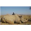Image 1 : Eastern Cape, South Africa - 3 Hunters for 7 Hunting Days for Impala, Wart Hog, and Rhino Vita Dart