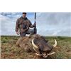 Image 3 : Eastern Cape, South Africa - 3 Hunters for 7 Hunting Days for Impala, Wart Hog, and Rhino Vita Dart