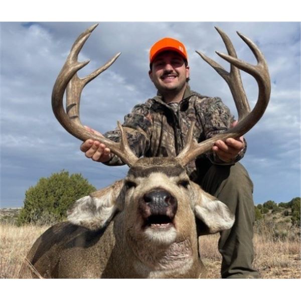 Colorado, USA - 1 Hunter for 5-Day Mule Deer and Black Bear Rifle or Archery Hunt