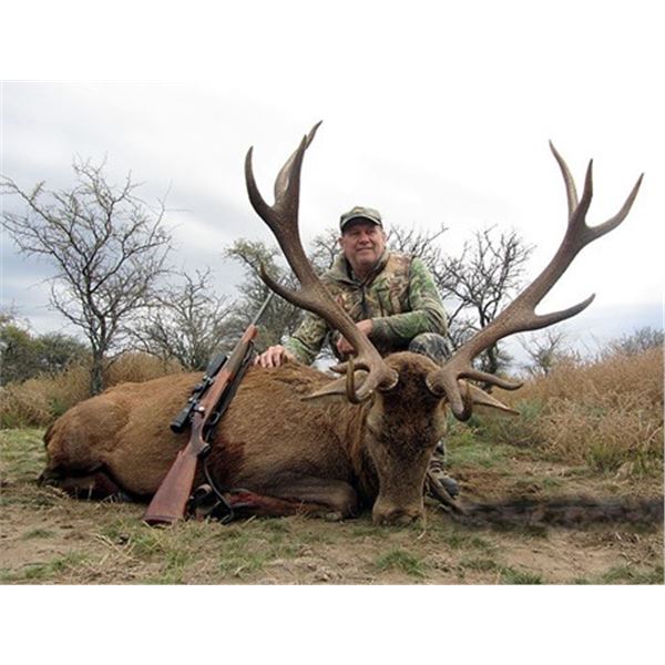 Argentina - 2 Hunters for 4-Day/3-Night Red Stag or Black Buck Hunt