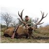 Image 1 : Argentina - 2 Hunters for 4-Day/3-Night Red Stag or Black Buck Hunt