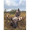 Image 1 : Alaska, USA - 1 Hunter for Alaska Moose Hunt