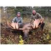 Image 2 : Alaska, USA - 1 Hunter for Alaska Moose Hunt