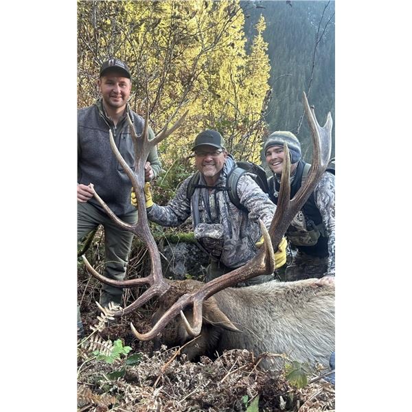 British Columbia, Canada - 1 Hunter for 10-Day Roosevelt Elk Hunt