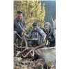 Image 1 : British Columbia, Canada - 1 Hunter for 10-Day Roosevelt Elk Hunt