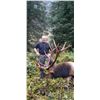 Image 2 : British Columbia, Canada - 1 Hunter for 10-Day Roosevelt Elk Hunt