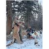 Image 2 : Colorado, USA - 1 Hunter for 5-Day Rifle Mountain Lion Hunt plus $1000 Taxidermy Credit