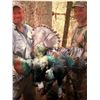 Image 1 : Campeche, Mexico - 1 Hunter for 4-Day Ocellated Turkey and Brocket Deer Hunt