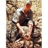 Image 3 : Campeche, Mexico - 1 Hunter for 4-Day Ocellated Turkey and Brocket Deer Hunt