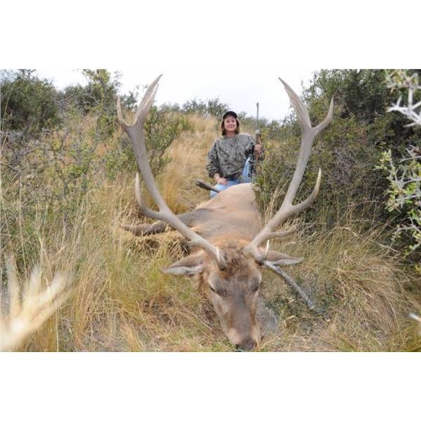 New Zealand - 2 Hunters for 5-Day/4-Night Hunt for Red Stag