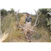 Image 1 : New Zealand - 2 Hunters for 5-Day/4-Night Hunt for Red Stag