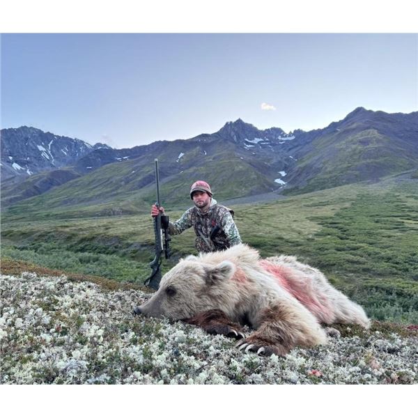Alaska, USA - 1 Hunter for 8-Day Grizzley Bear Hunt